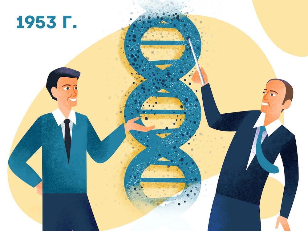 Молекулярная генетика — Введение и основы