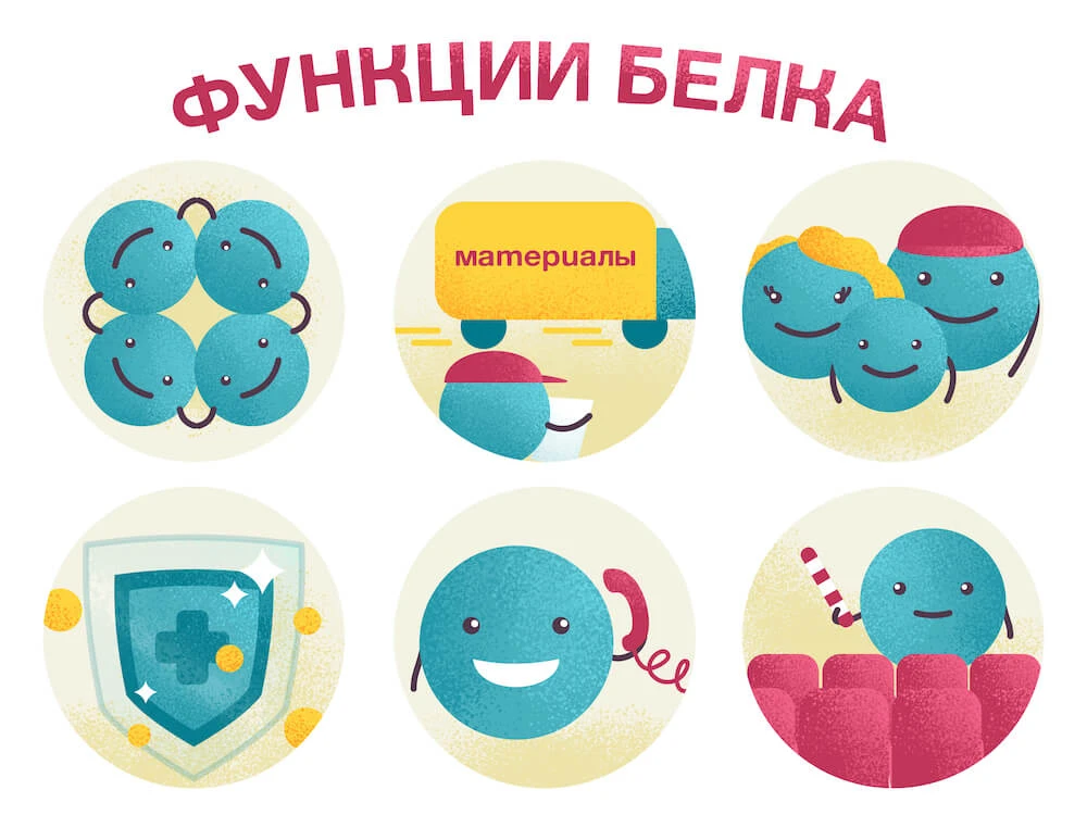 Молекулярная генетика — Введение и основы