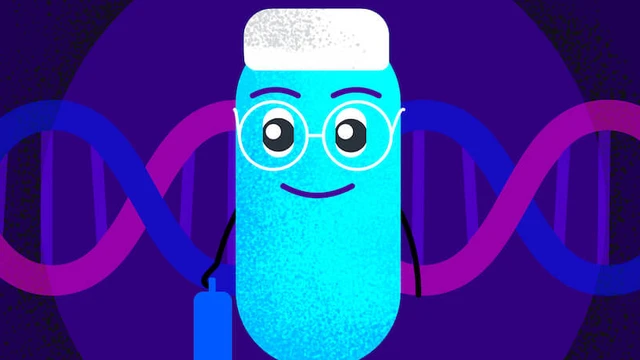 Молекулярная генетика — Введение и основы