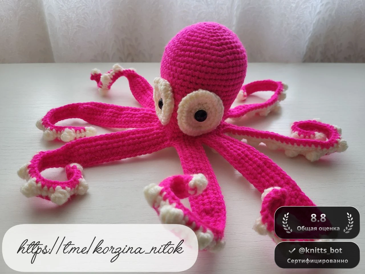 Бодрый Осьминожка 🐙