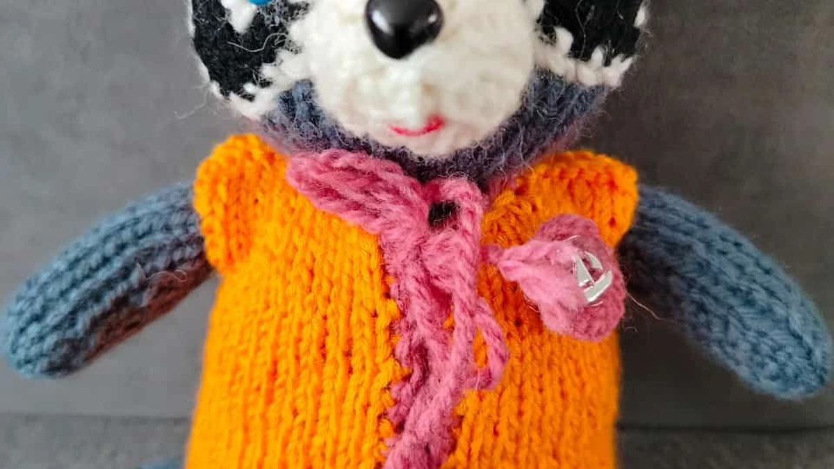 Енот в Жилете 🦝