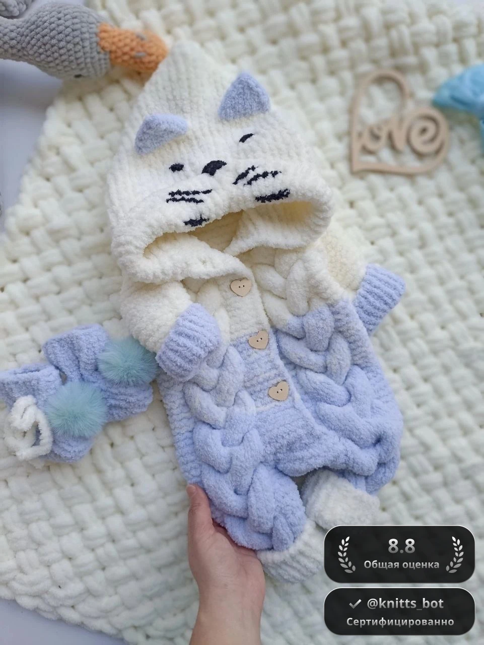 Котёнок в капюшоне 🐱