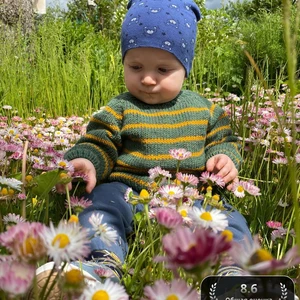 Лесной полосатик 🐛