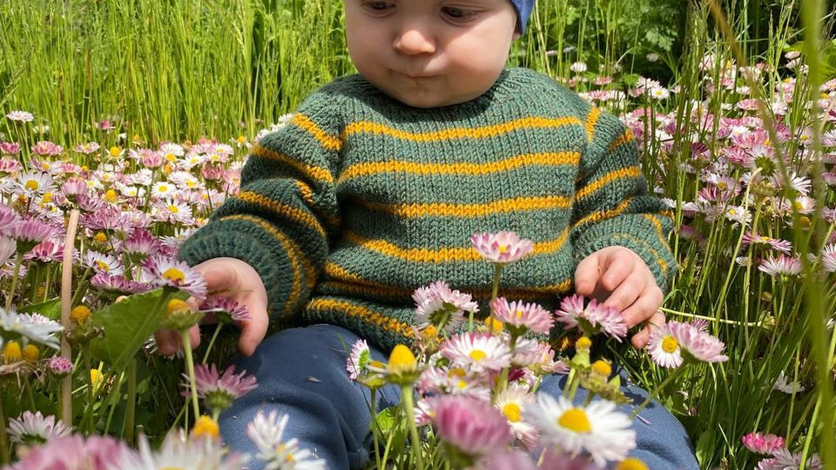 Лесной полосатик 🐛