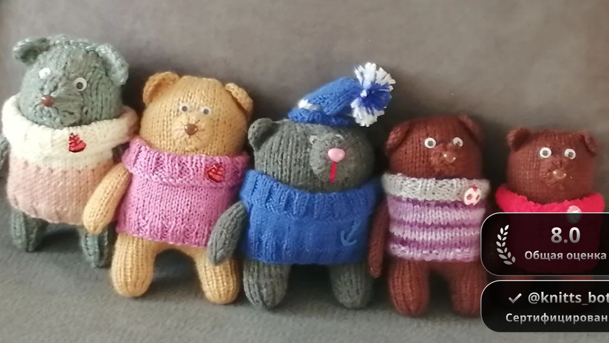 Медвежата в свитерах 🐻